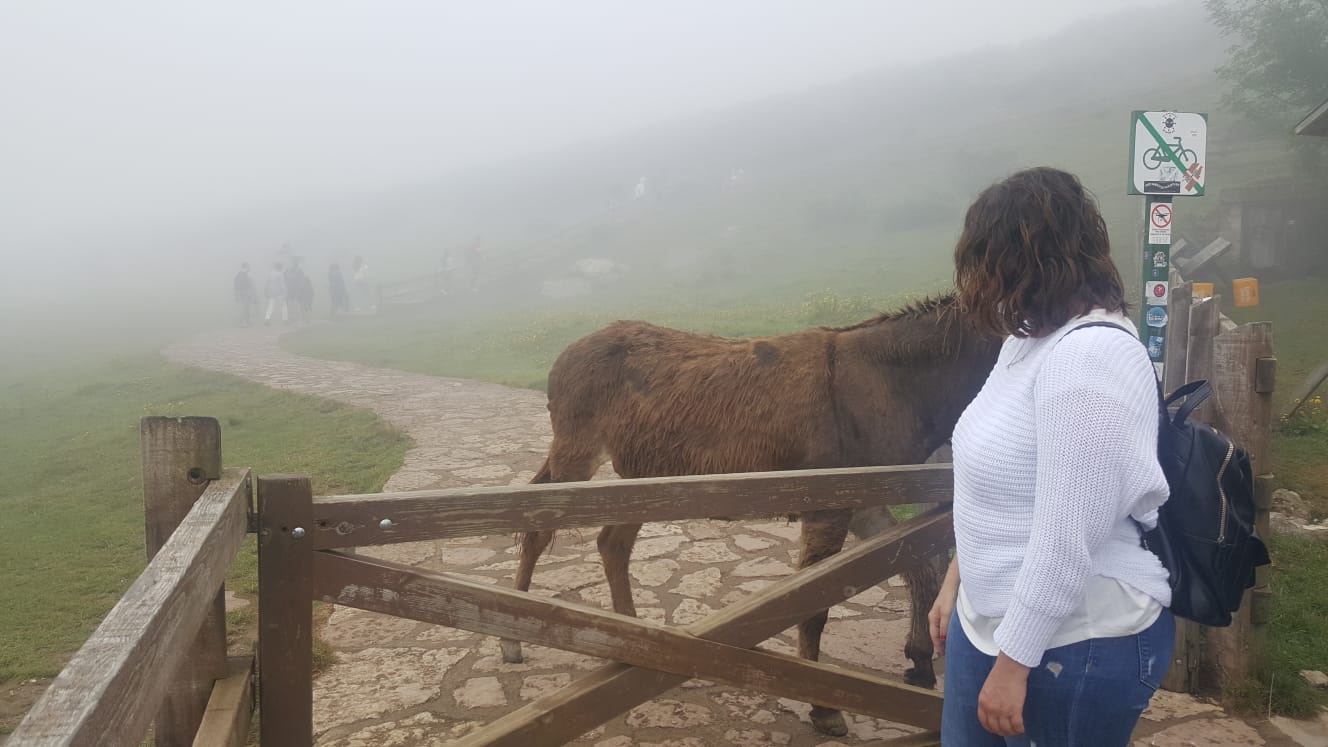 asturias-7